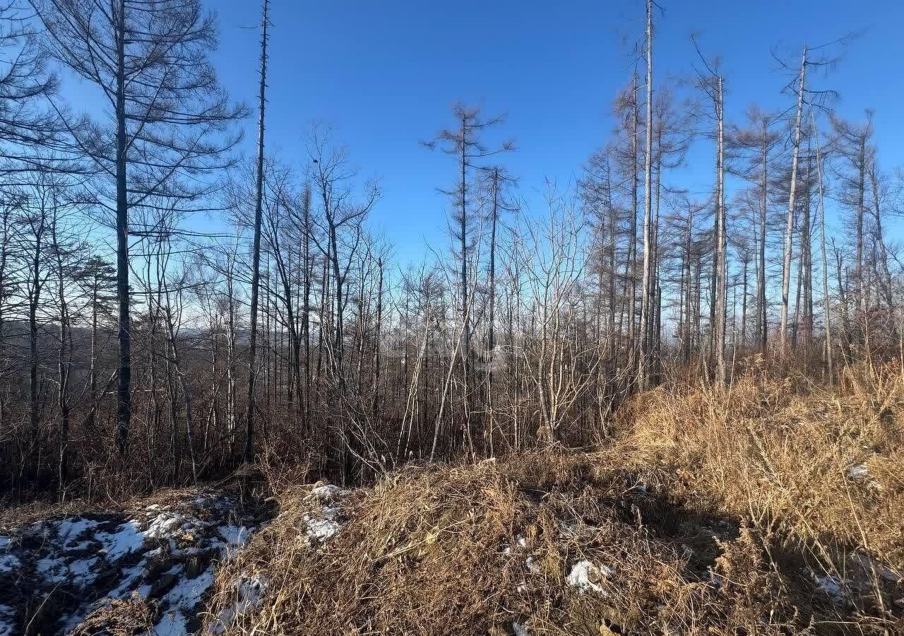 земля г Владивосток п Трудовое ул Лермонтова р-н Советский фото 6