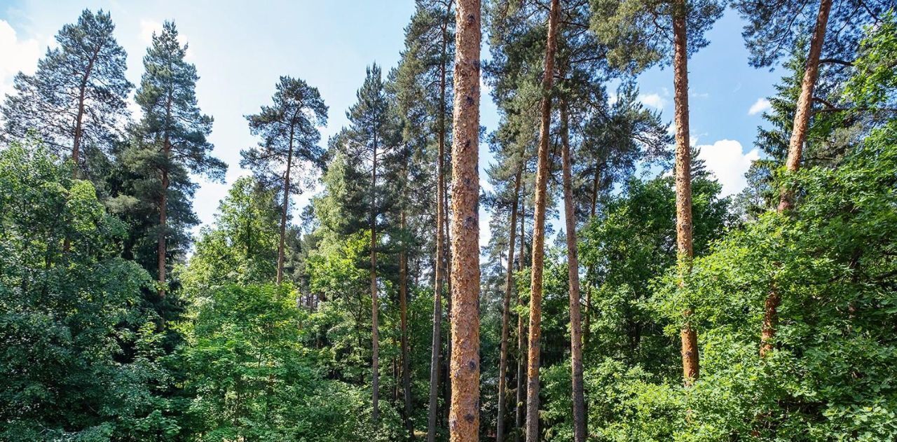 дом г Подольск п Сосновый Бор ул Ореховая Одинцово, Одинцовский городской округ, пос. Николина Гора фото 11