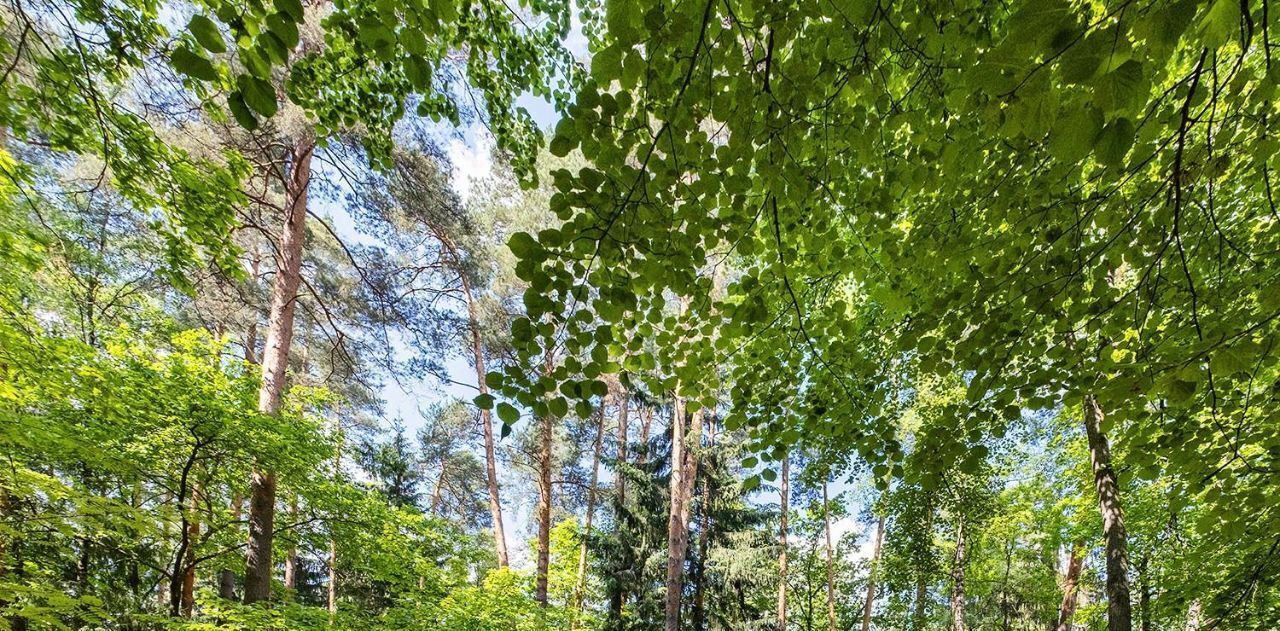 дом г Подольск п Сосновый Бор ул Ореховая Одинцово, Одинцовский городской округ, пос. Николина Гора фото 34