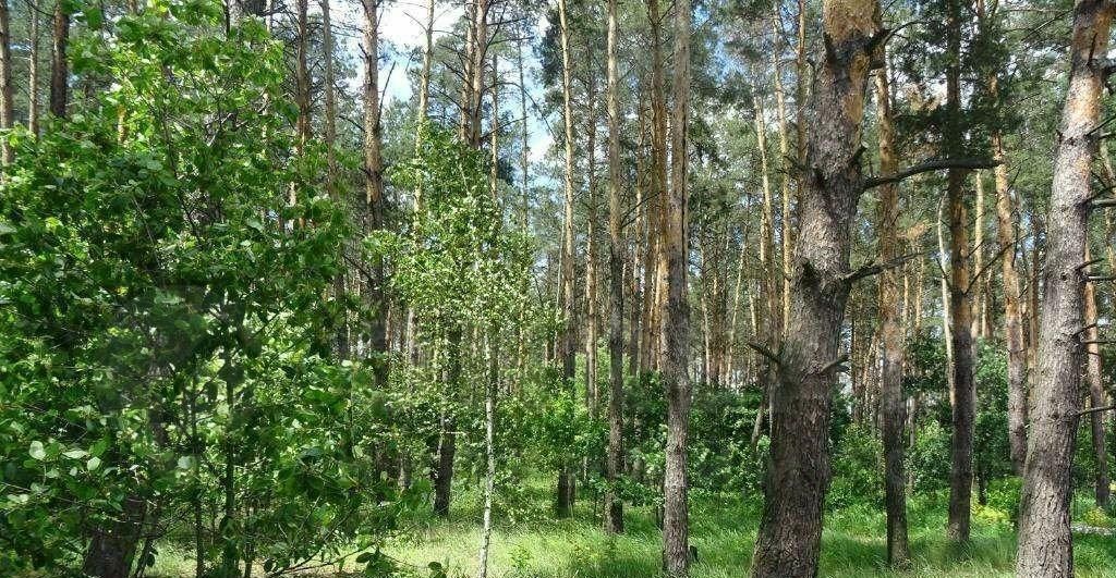 земля городской округ Люберцы рп Октябрьский Котельники фото 1