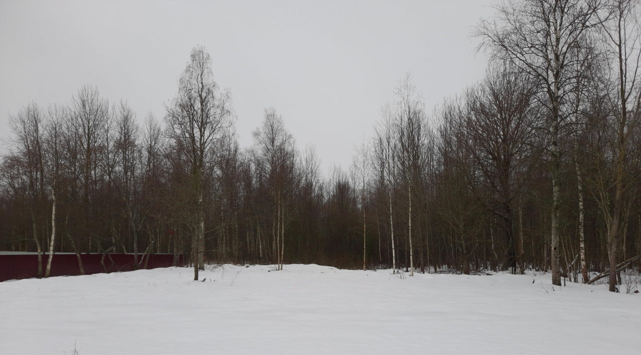 земля р-н Новгородский рп Панковка ул Зеленая Панковское городское поселение фото 4