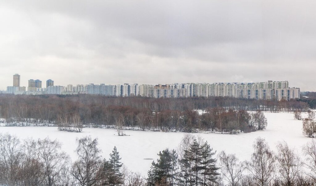 квартира г Москва метро Трикотажная ш Волоколамское 95/2к 5 ЖК City Bay Московская область фото 14