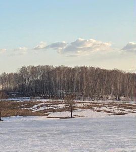 земля р-н Мошковский с Сокур фото 1