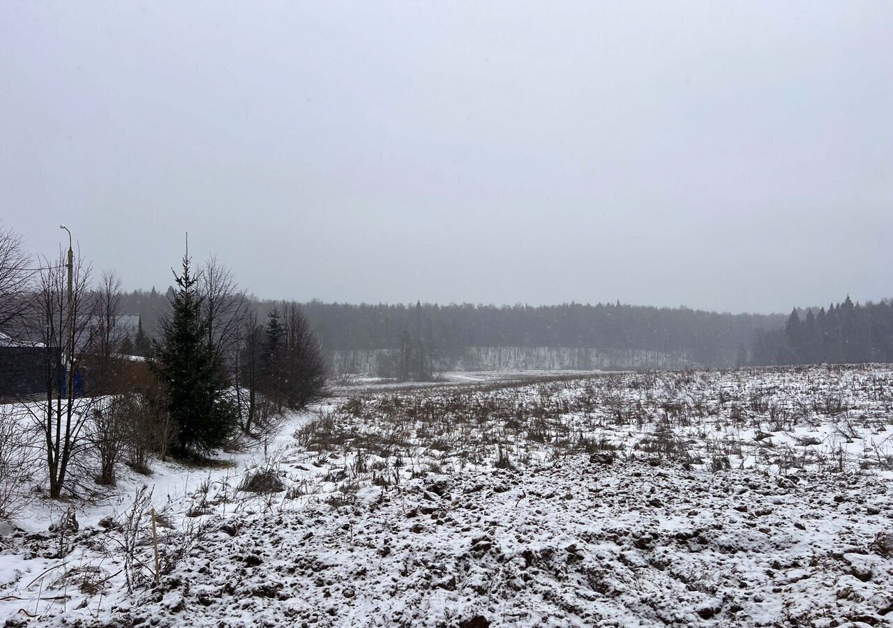 земля городской округ Подольск 24 км, д. Пузиково, СНТ Полянка, Симферопольское шоссе фото 2