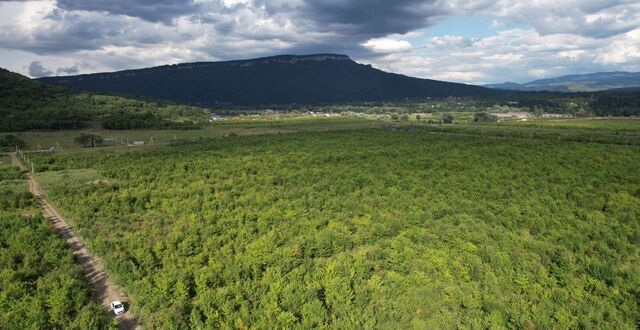 Республика Адыгея Адыгея, Даховское сельское поселение, Каменномостский фото