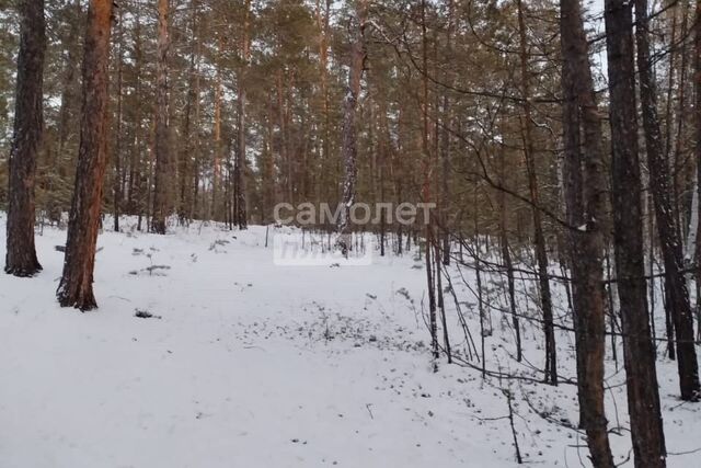 Якутск городской округ, Республика Саха Якутия, СОТ Ленские зори фото