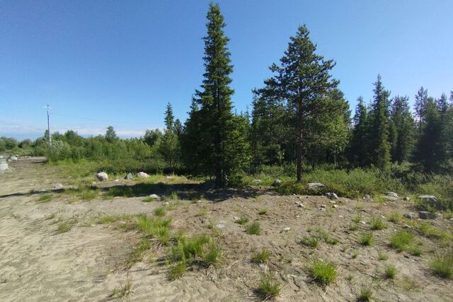 Оленегорск городской округ, Оленегорск фото