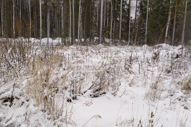 пгт Краснозатонский Сыктывкар городской округ, ЖМ Сосновая поляна фото