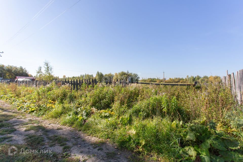 земля г Тобольск Сумкино, Тобольск городской округ фото 1