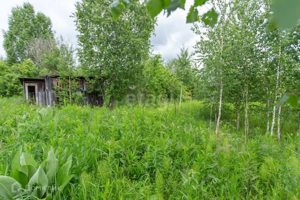 земля р-н Тобольский СО Возрождение фото 4