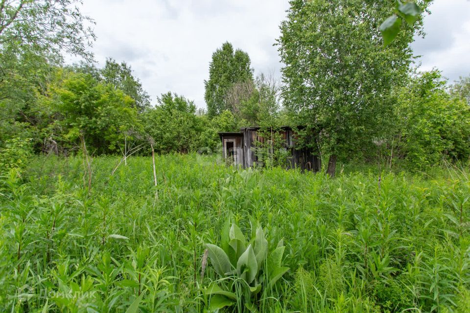 земля р-н Тобольский СО Возрождение фото 6