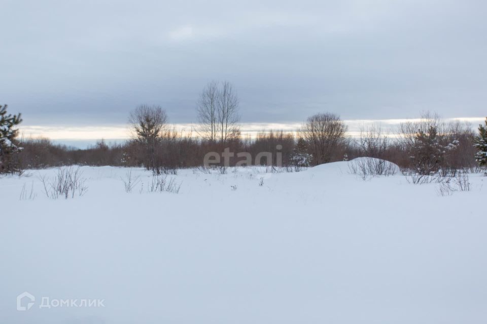 земля г Тобольск п Сумкино ул Луговая Тобольск городской округ фото 9