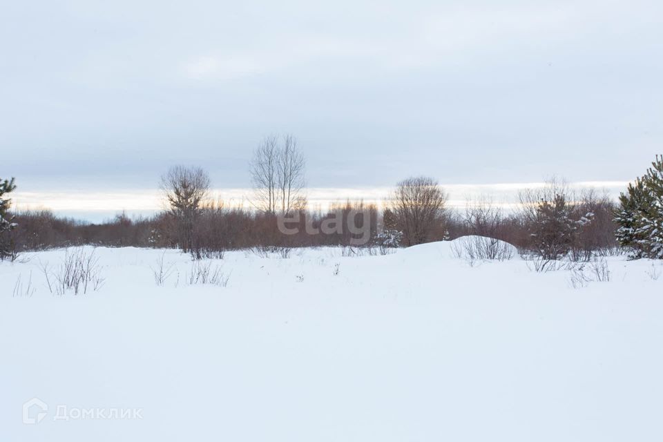 земля г Тобольск п Сумкино ул Луговая Тобольск городской округ фото 10