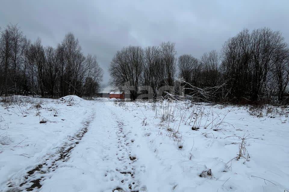 земля р-н Ярославский д. Худково фото 9