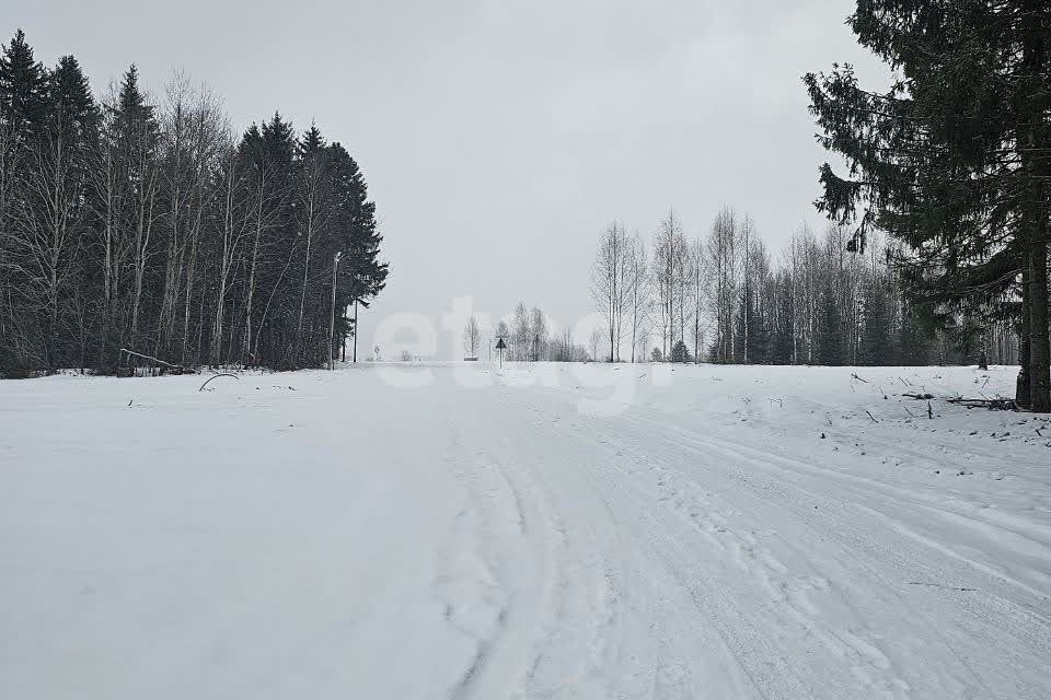 земля Добрянский городской округ, д. Залесная фото 5