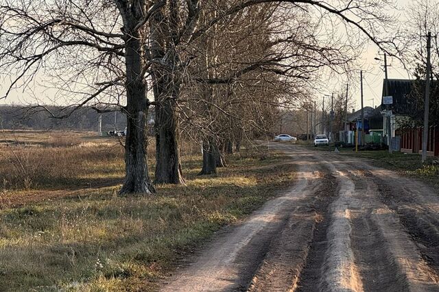 ул Центральная 19 фото