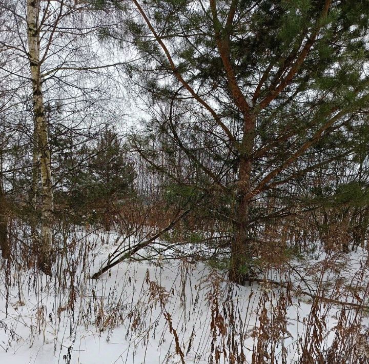 офис городской округ Павловский Посад д Гаврино 40 фото 1