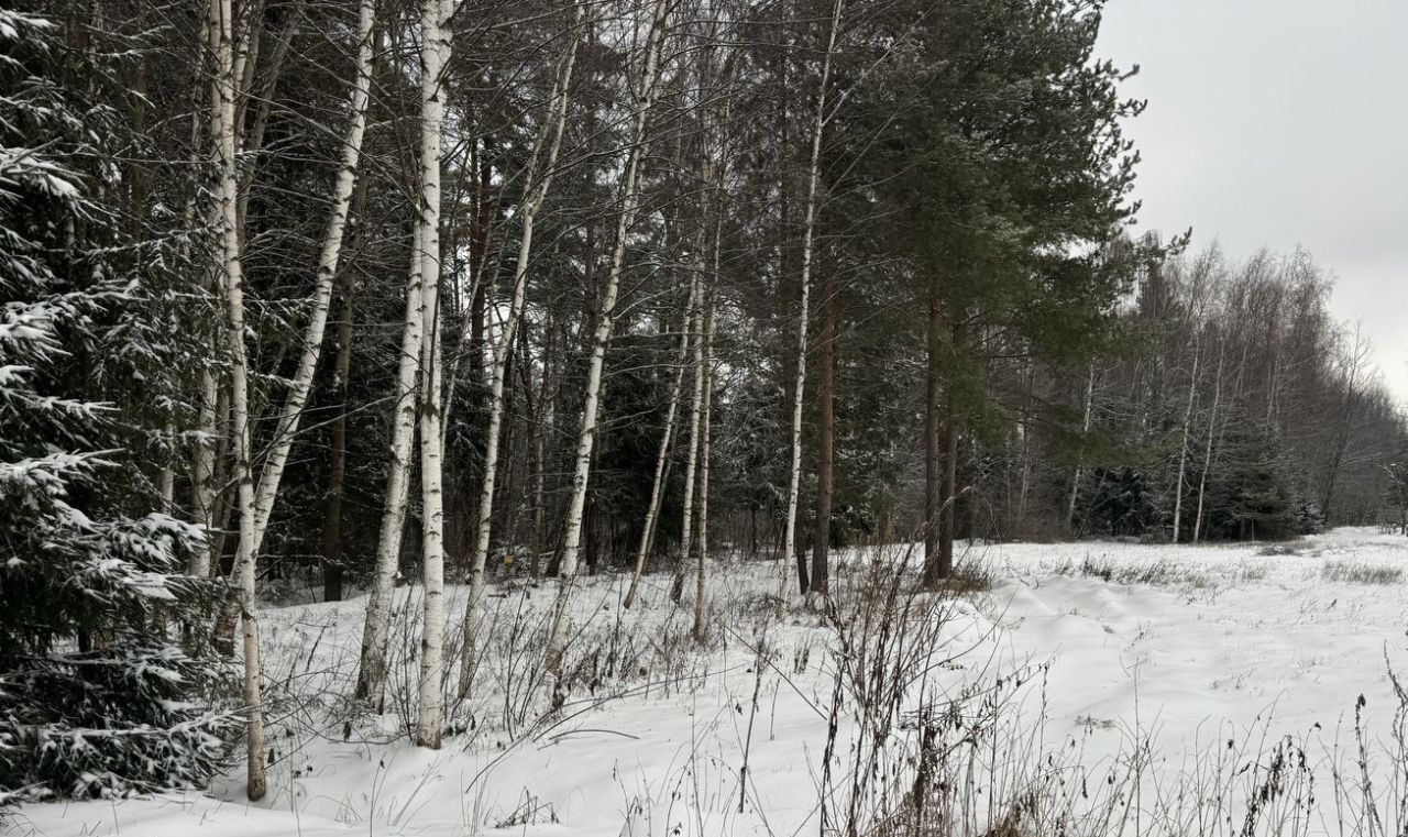 офис городской округ Богородский д Марьино ул. Центральная, 40 фото 1