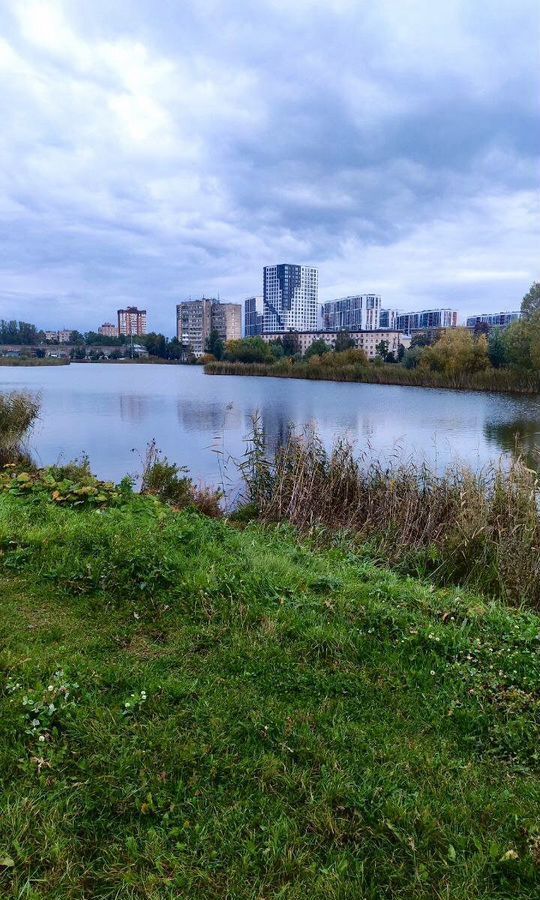 квартира г Санкт-Петербург метро Ломоносовская пр-кт Железнодорожный 14к/3 ЖК «Стрижи в Невском» округ Ивановский фото 14