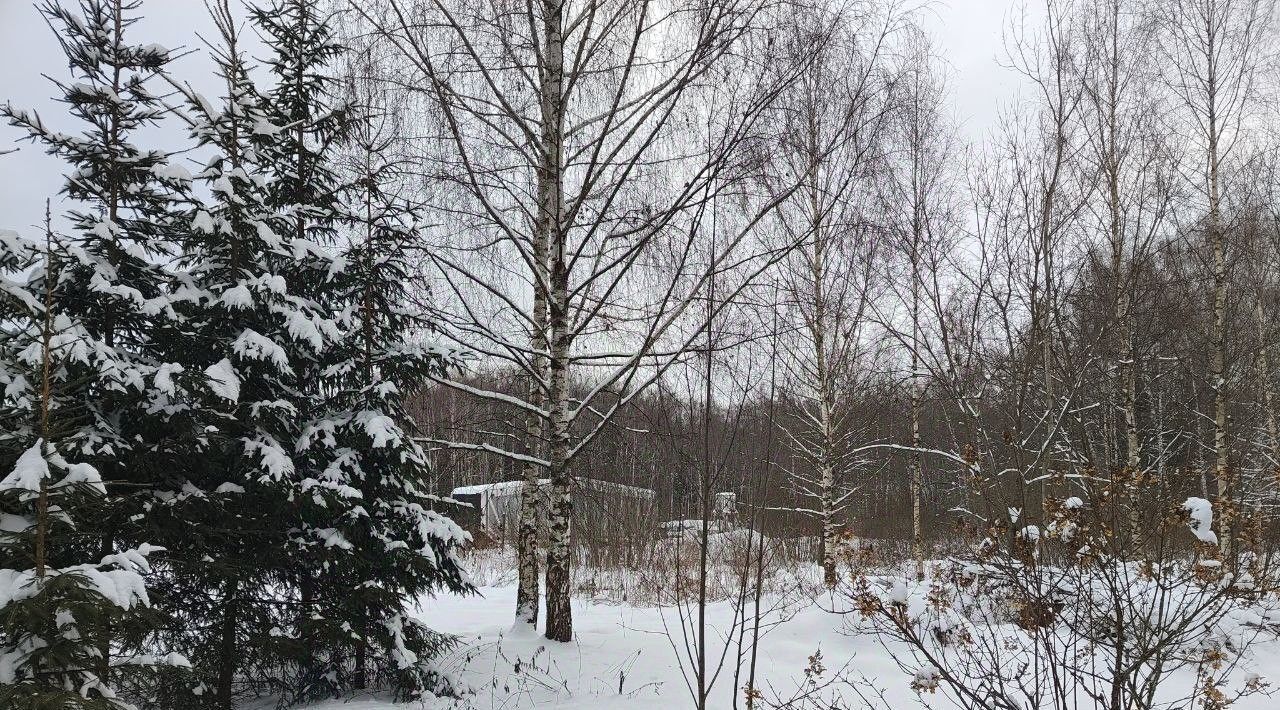 офис городской округ Мытищи д Долгиниха ул Центральная фото 1