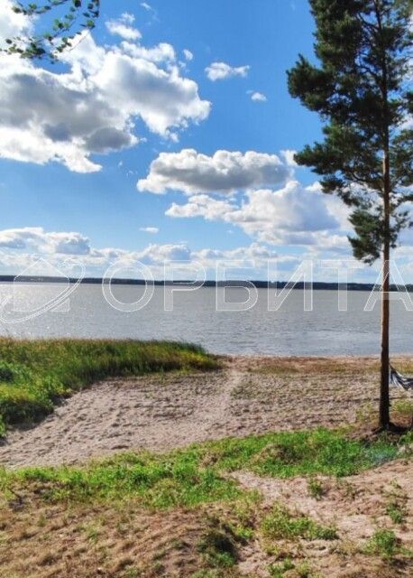 земля р-н Ялуторовский с. Сингуль Татарский фото 1