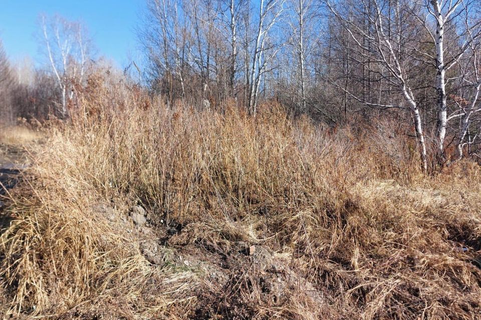 земля р-н Комсомольский с Пивань ул Лесная 1 сельское поселение Село Пивань фото 1