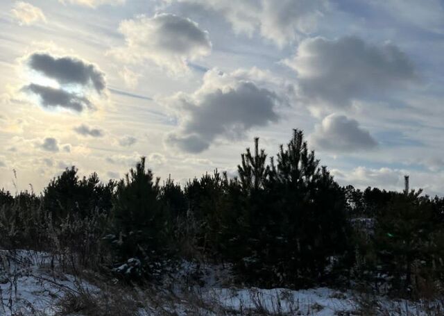 п Емельяново Центральный парк Емельяновского района фото