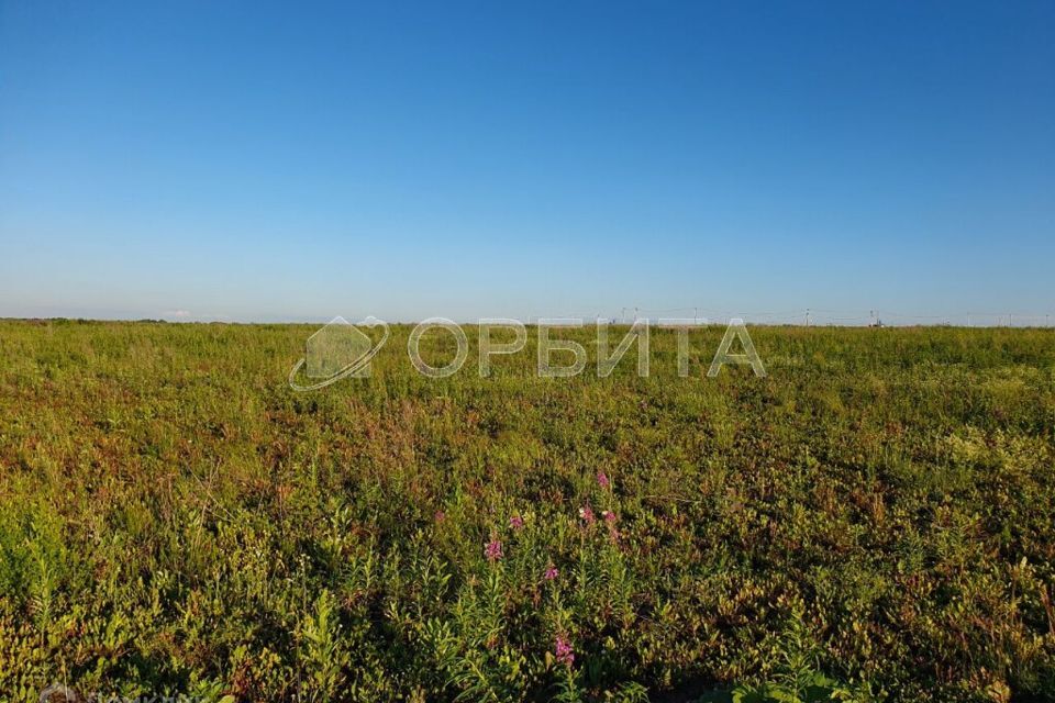 земля г Тюмень Тюмень городской округ, СО Поле чудес фото 3