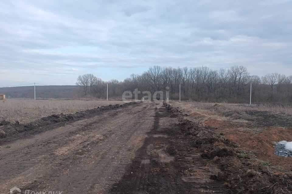 земля р-н Белгородский с Стрелецкое пер 1-й Театральный Стрелецкое сельское поселение фото 4