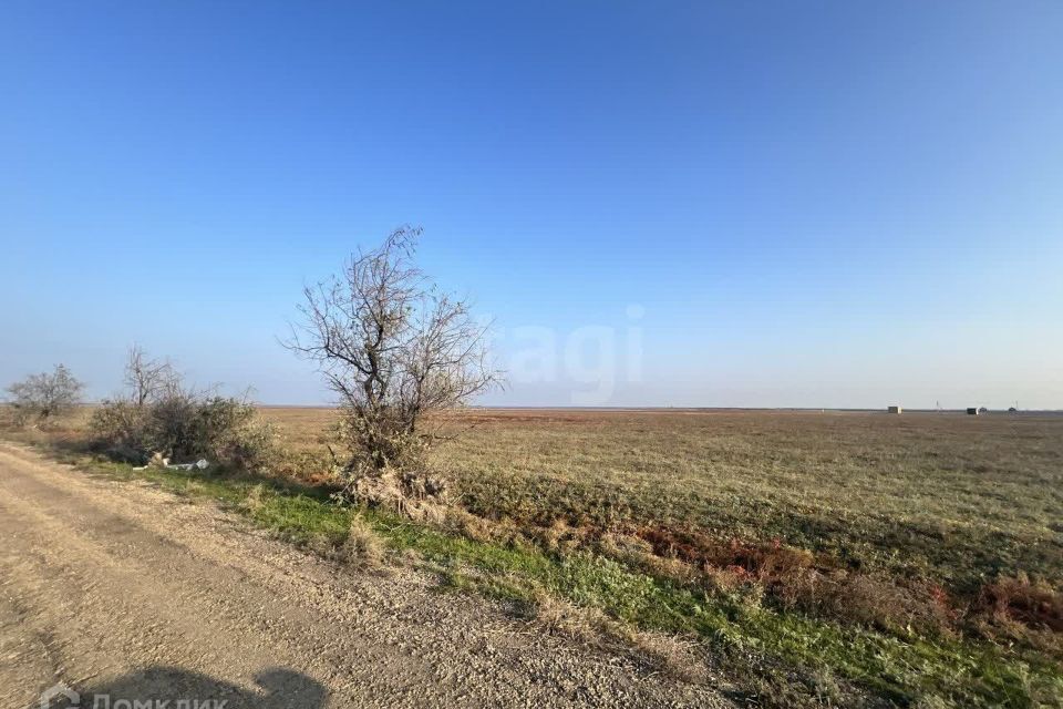 земля р-н Раздольненский фото 4