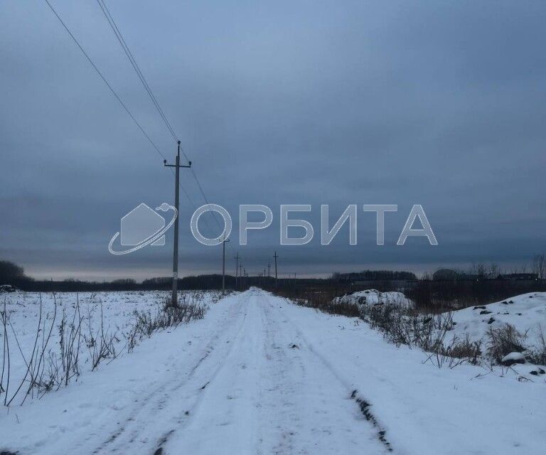 земля р-н Тюменский с Горьковка Совхозная фото 4