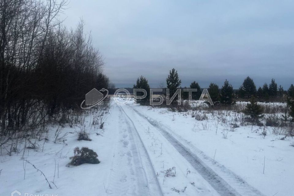 земля р-н Тюменский с Горьковка Совхозная фото 4