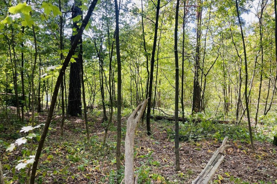 земля Тамбов городской округ, пос. Тригуляй фото 4