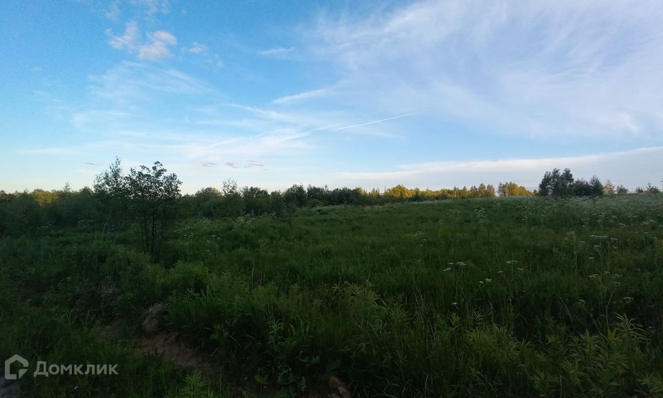 земля г Владимир д Шепелево Владимир городской округ, Центральная фото 6