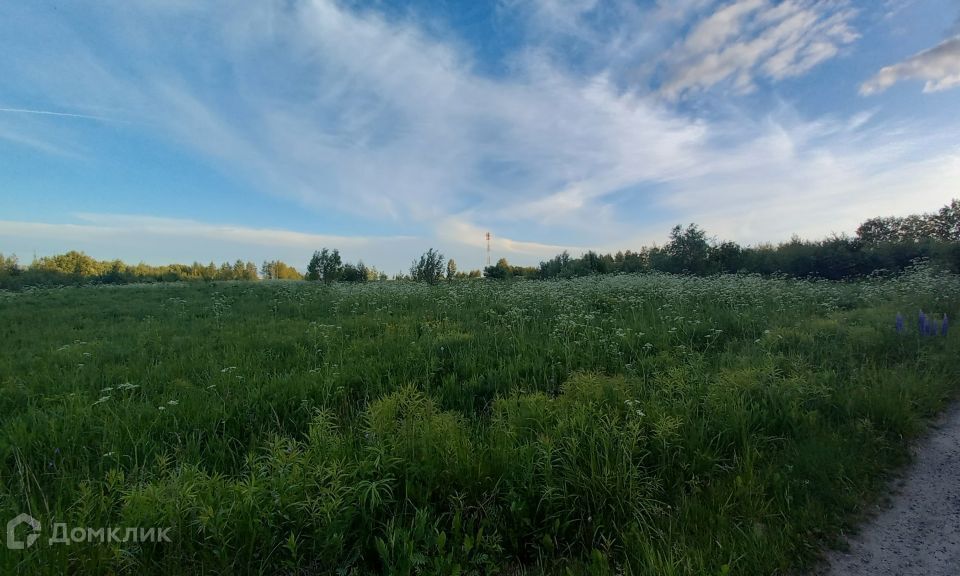 земля г Владимир д Шепелево Владимир городской округ, Центральная фото 7