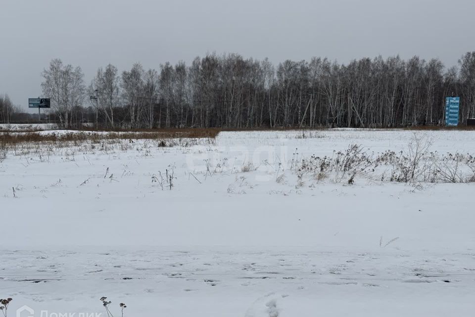 земля г Тюмень Тюмень городской округ, СО Плодовое фото 7