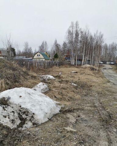 р-н Нижневартовский пгт Излучинск СОНТ Мечта-2, Тюменская обл., Мегион фото