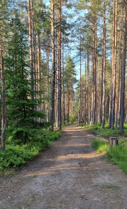 дом р-н Выборгский снт Бор (п.Зеленая Роща) Полянское с/пос, ул. Березовая, пос. Зеленая Роща фото 20