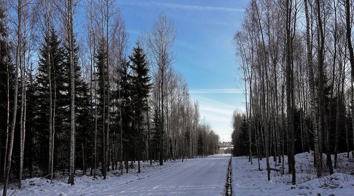 земля городской округ Дмитровский д Сбоево ул. Озерная фото 4