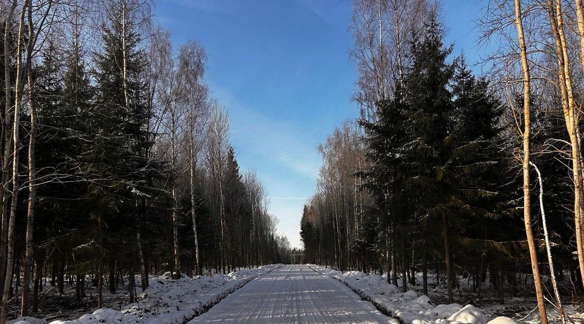 земля городской округ Дмитровский д Сбоево ул. Озерная фото 3