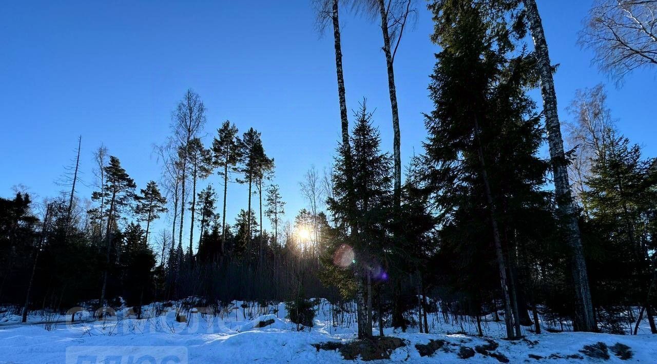 дом городской округ Истра д Духанино Тополь кп, Зеленоград — Крюково фото 12