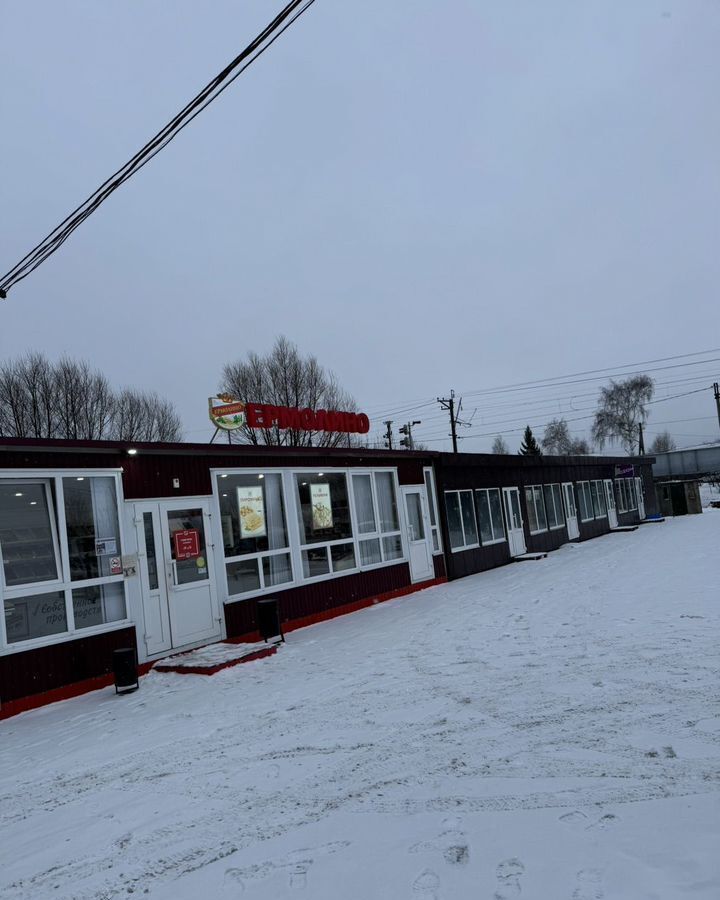 свободного назначения р-н Бессоновский с Бессоновка ул Центральная 265г Бессоновский сельсовет фото 1