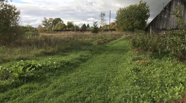 п Тайцы снт Таицкий родничок Тайцы городской поселок, 34 фото