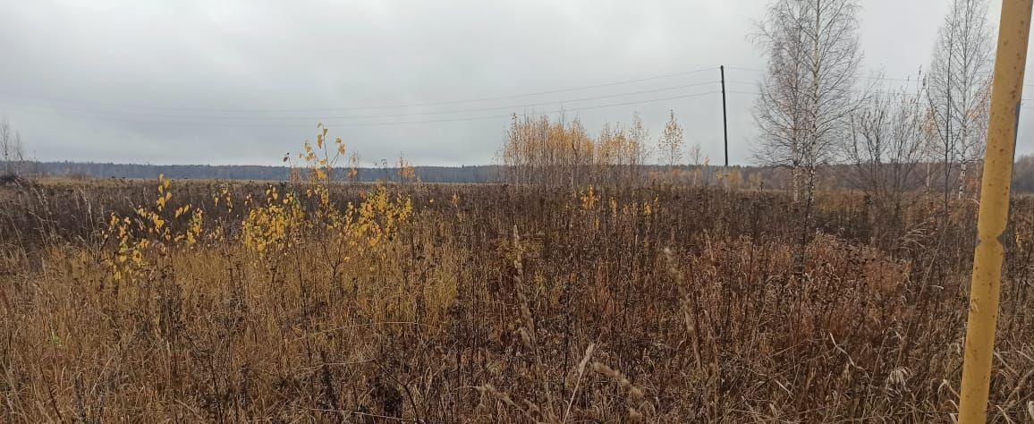 земля р-н Медведевский д Федоскино ул Федоскино Знаменское сельское поселение, Йошкар-Ола фото 6