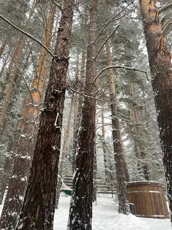 дом г Дивногорск п Манский ул Вторая Лесная 28/1 фото 4