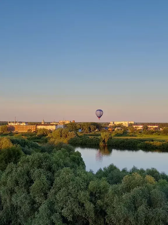 квартира г Великий Новгород наб Колмовская 71б фото 32