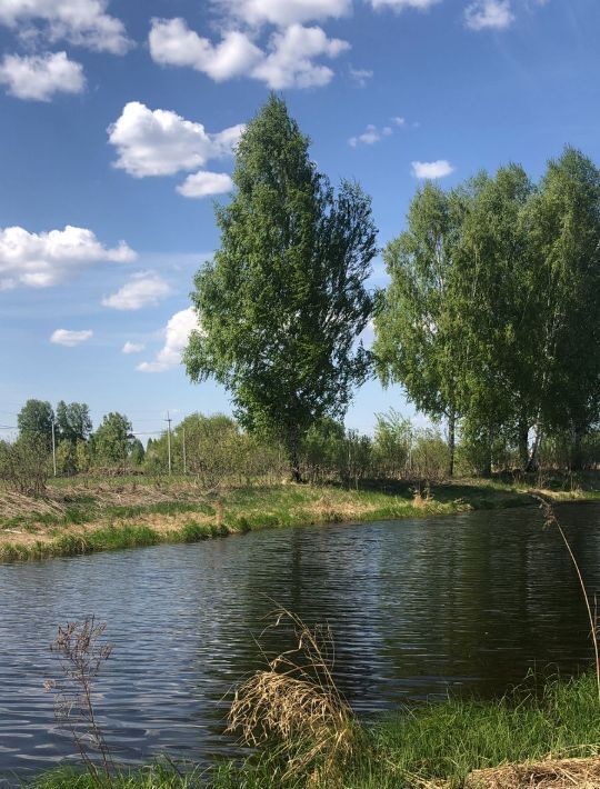 земля р-н Новосибирский снт Ясная Поляна сельсовет, 80, Кудряшовский, пос. Воробьевский фото 1