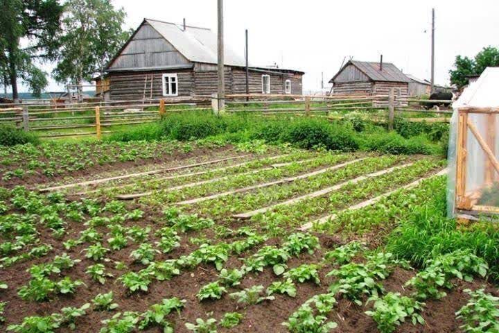 дом р-н Таштагольский пгт Темиртау Темиртауское городское поселение фото 5