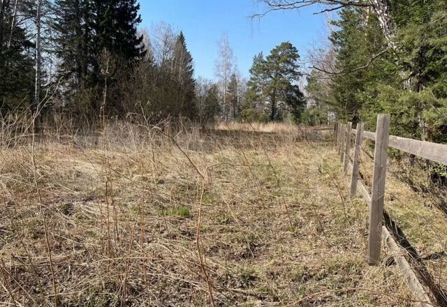 р-н Емельяновский с Арейское днп Изумруд сельсовет, Красноярск, Элитовский фото