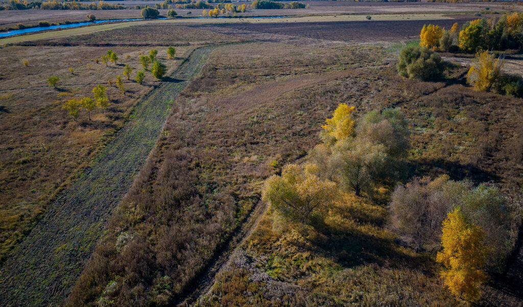 земля р-н Оренбургский с Каменноозерное фото 21